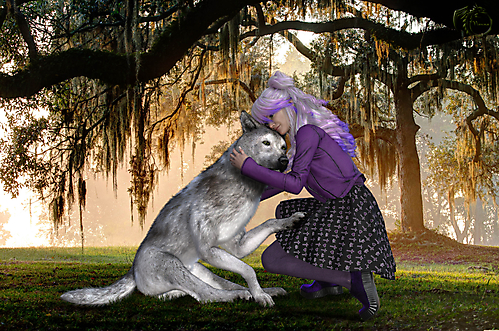 Катя и серый волк