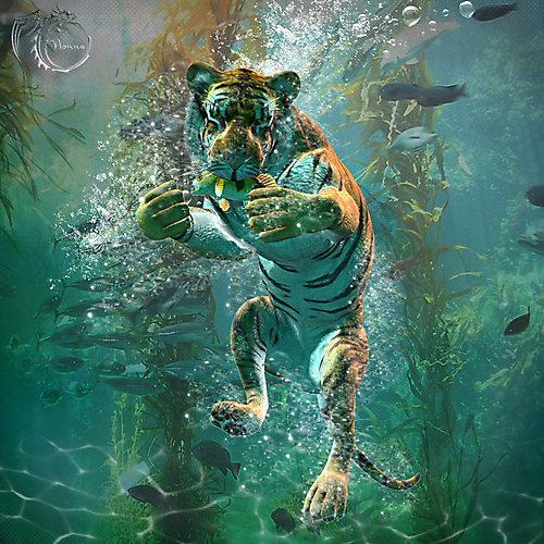 Киска любит рыбку