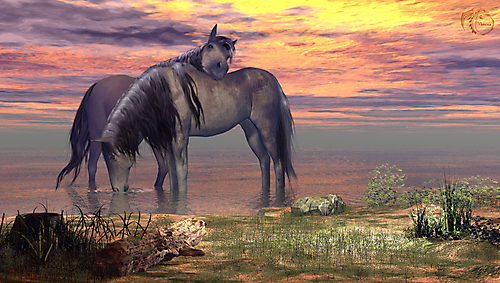 Лошади на озере