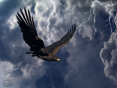 Поднебесье