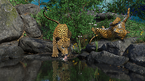 Пятнистые котятки