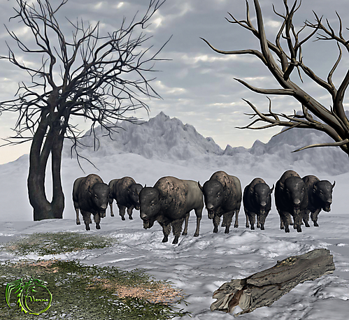 Спасительный пятачок