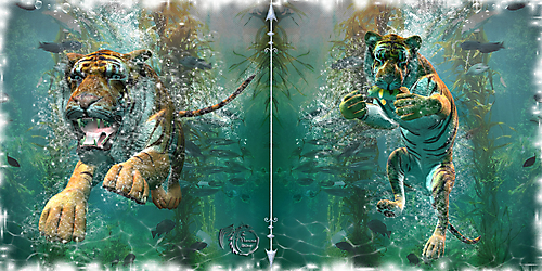 Тигр под водой-дуэт