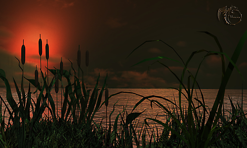 Рассвет на озере