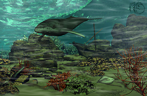 Китовый залив